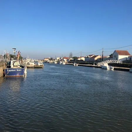 Jolie Maison Restauree Dans Petit Village Proche De Boyardville Et Ses Belles Plages Nyaraló *